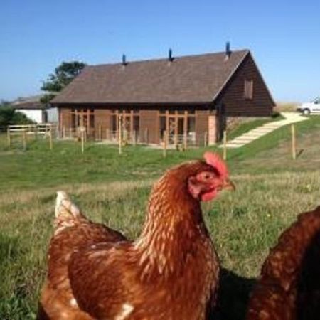 Bike Shed - Beautiful 1-Bed Cottage In Shorwell Екстер'єр фото