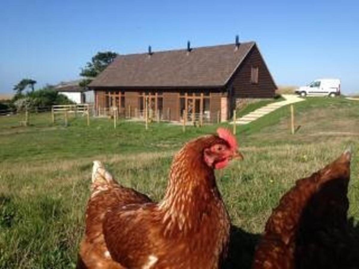 Bike Shed - Beautiful 1-Bed Cottage In Shorwell Екстер'єр фото