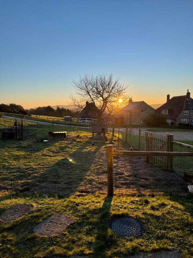 Bike Shed - Beautiful 1-Bed Cottage In Shorwell Екстер'єр фото